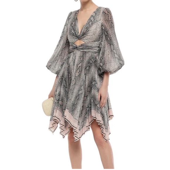 Zimmerman NWT corsage sneak print mini Dress - Picture 4 of 5